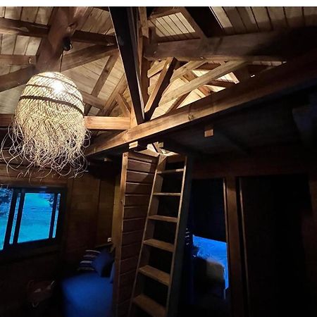 La Kaz A Pepes, Charmant Logement Avec Piscine Lamentin 外观 照片